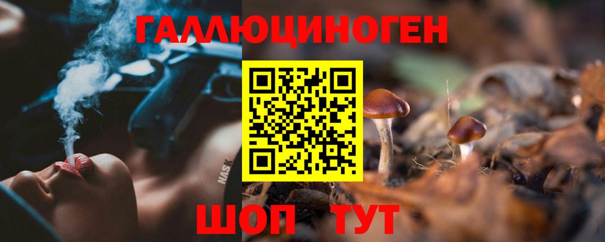 Псилоцибиновые грибы Psilocybine cubensis Надым